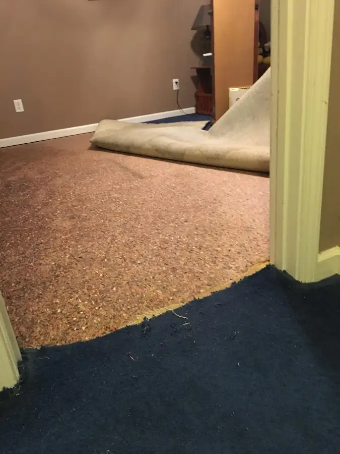 Carpet pad removal revealing water damage during Drying & Dehumidification in Pilot Point