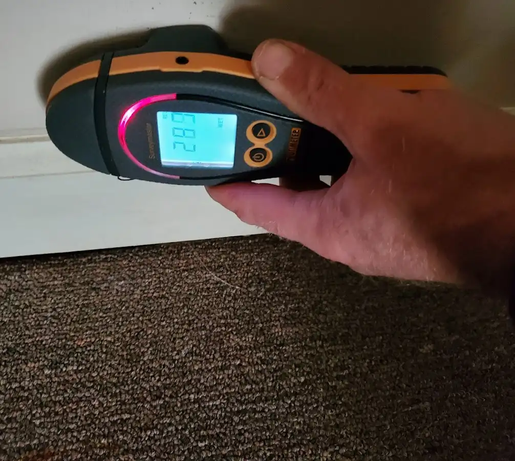 Moisture detection at baseboard during Mold Inspection & Testing in Pilot Point